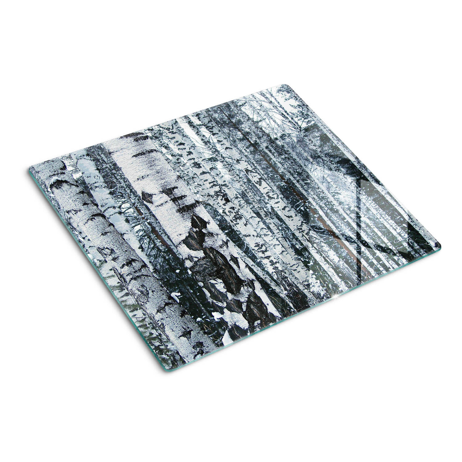GLASPLATTE 60x52 cm Birken - Weiß, Glas (60/0.4/52cm) - TULUP