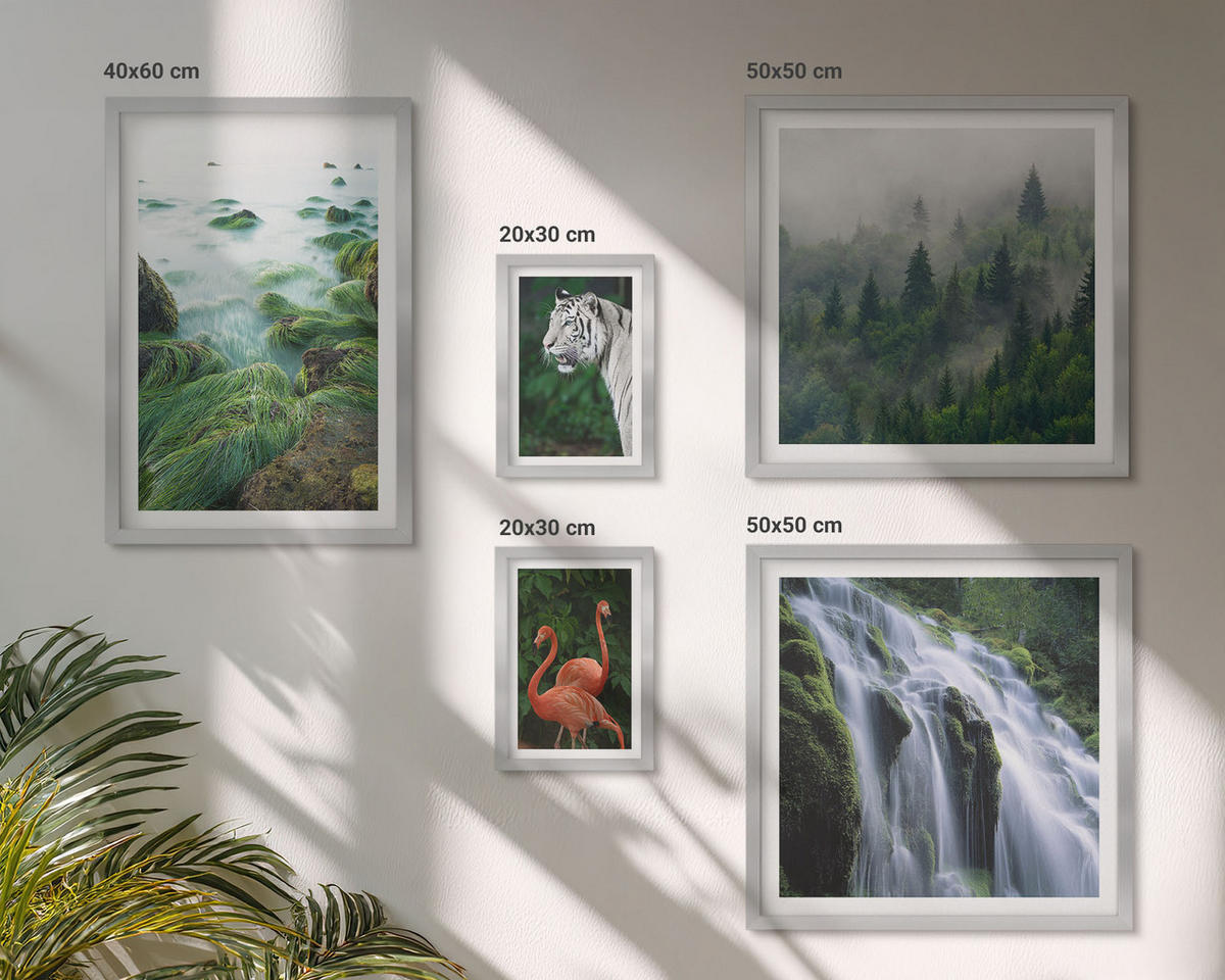 WANDBILDER 5er Set - 50x50 cm & 20x30 cm & 40x60 cm Silberner Rahmen - Tiger Wasserfall Flamingos Natur - Silberfarben, Kunststoff (40/60cm) - ArtPrintCave