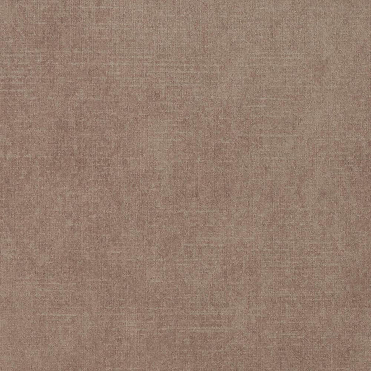 POLSTERBETT GONDO 160x200 cm, Hellbraun - Braun, Textil (200/160cm) - Fedve