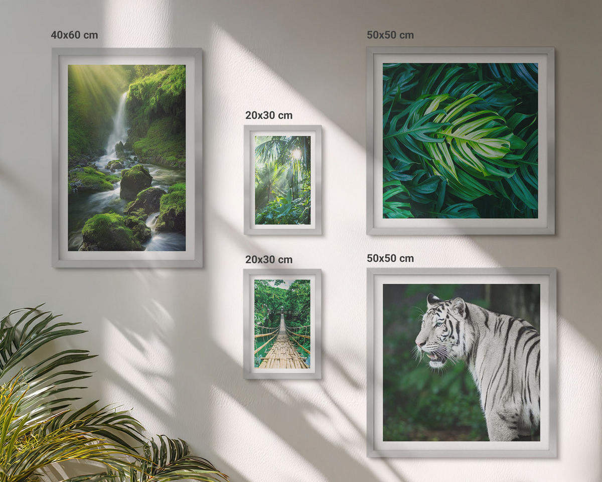 BILDER SET 5er Set - 50x50 cm & 20x30 cm & 40x60 cm Silberner Rahmen - Dschungel-Weißtiger-Wasserfall - Silberfarben, Kunststoff (40/60cm) - TULUP
