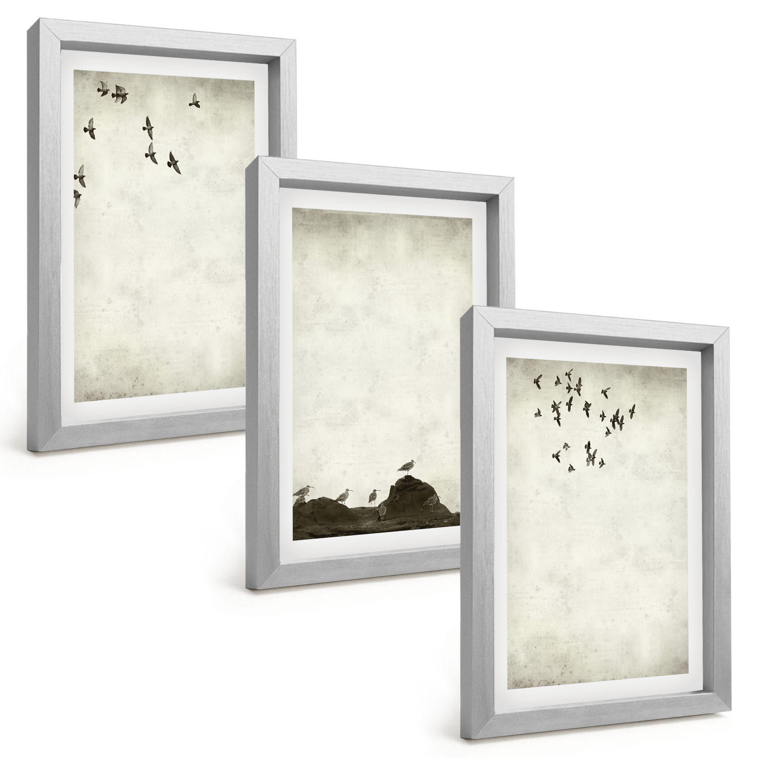 BILDER SET 3er Set - 20x30 cm Silberner Rahmen - Fliegende Vögel Minimalismus - Silberfarben, Kunststoff (20/30cm) - TULUP
