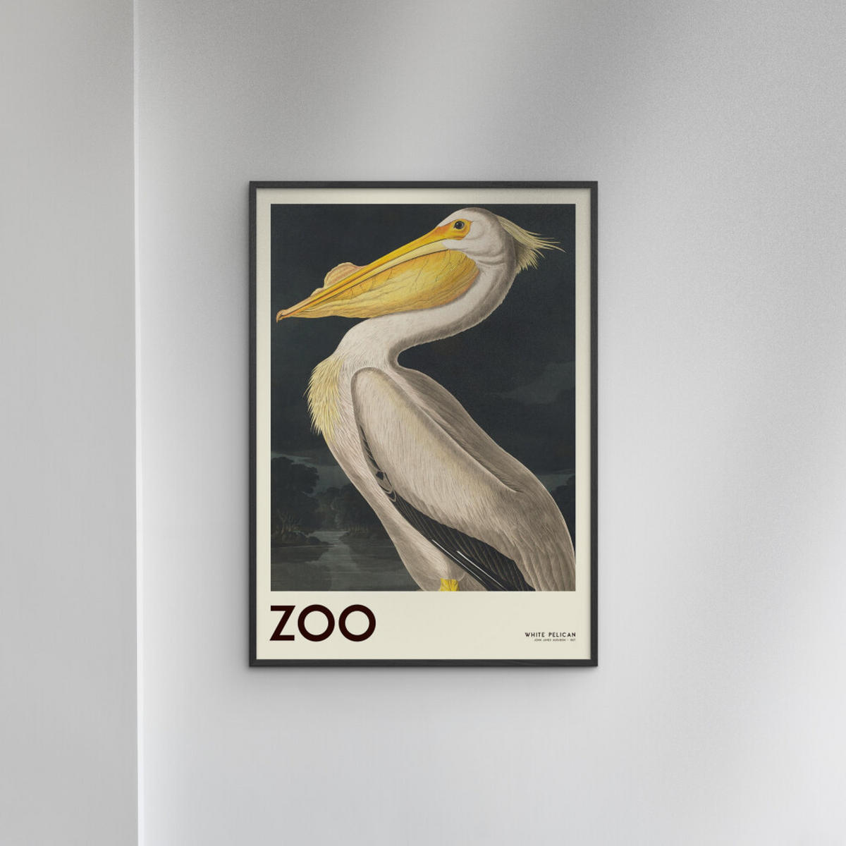 POSTER mit Rahmen A.P. Atelier - The Zoo Collection — White Pelican — Edt. 001 - Pink/Schwarz, Holz/Papier (50/70cm) - Poster&Frame