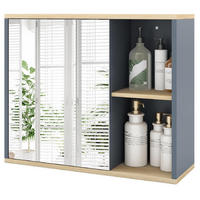 SPIEGELSCHRANK BAD mit verstellbarer Ablage grau - Grau, Holzwerkstoff (60/50/20cm) - COSTWAY