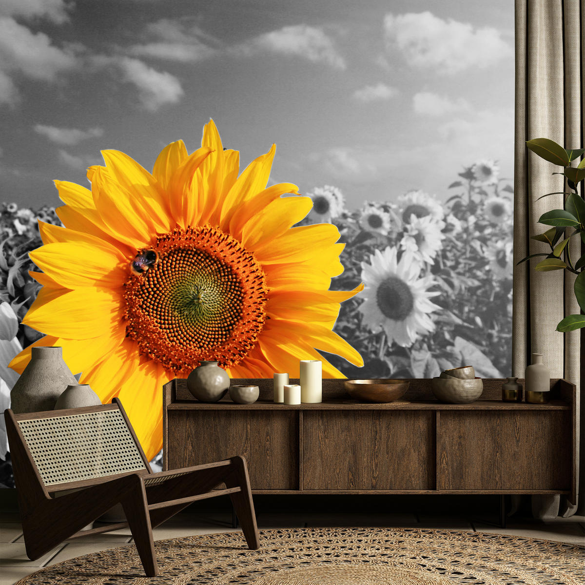 FOTOTAPETE für Küche Gelber Sonnenblume Schwarz-Weiß Hintergrund 400x280 - Gelb/Orange, Papier (400/280cm) - Muralo