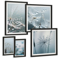 BILDER SET 5er Set - 50x50 cm & 20x30 cm & 40x60 cm Schwarzer Rahmen - Tautropfen auf Löwenzahn - Schwarz, Kunststoff (40/60cm) - TULUP