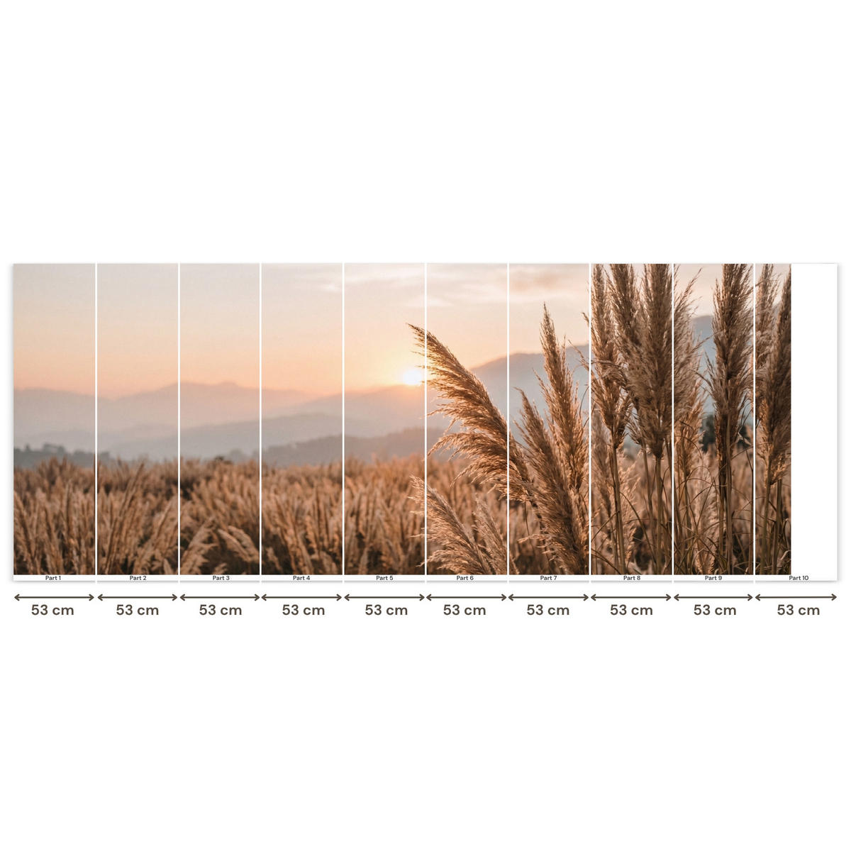 TAPETE - Gras - Feld - Sonne - Natur - 500x200 cm - Sandfarben, Papier (500/200cm) - OnlyWow