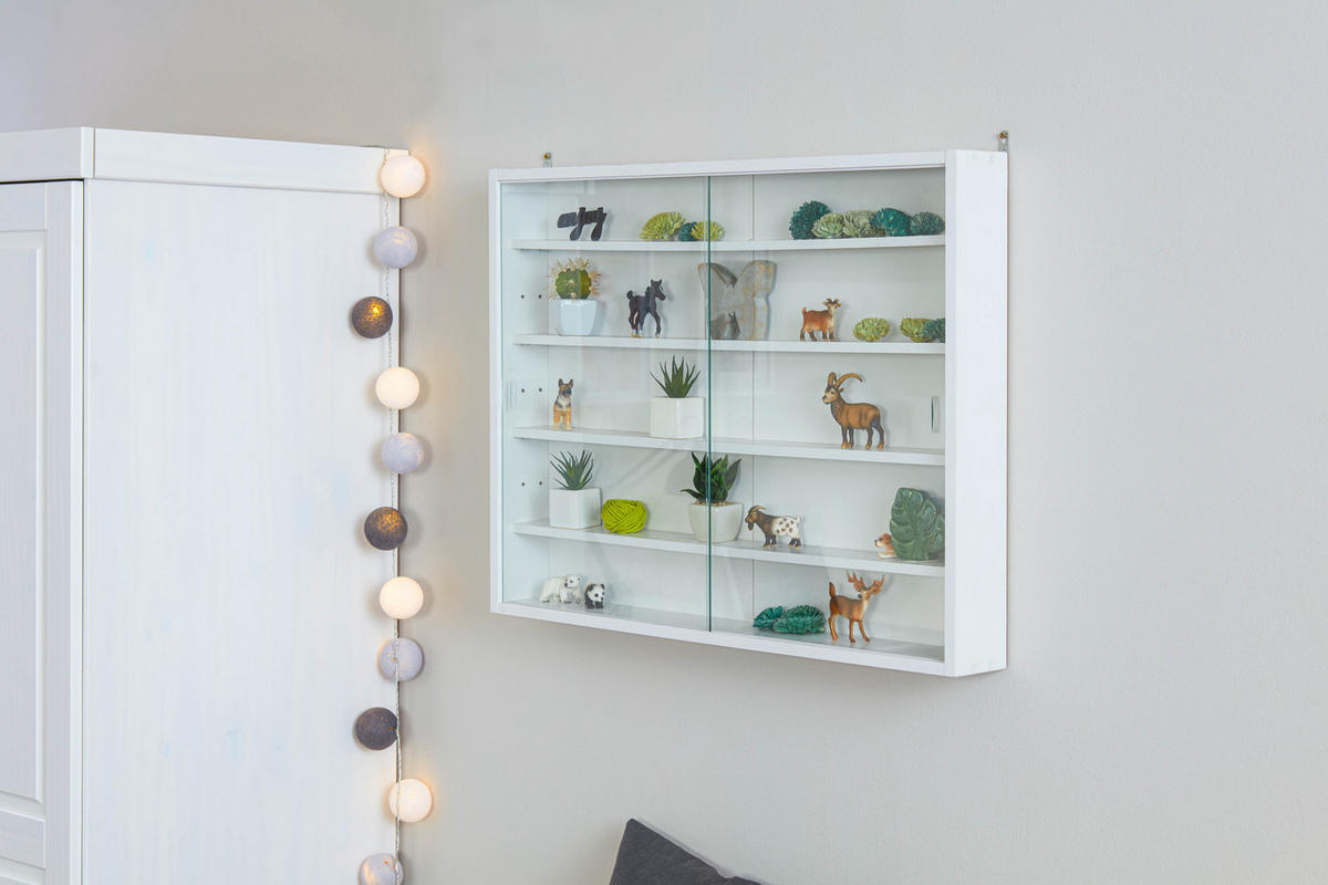 HÄNGEVITRINE Weiß - Weiß, Holzwerkstoff (80/60/10cm) - ebuy24