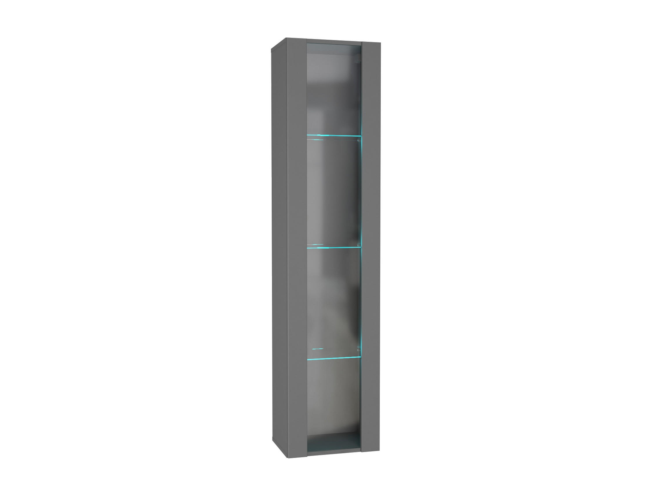 HÄNGESCHRANK Graphitgrau 40/170/29 - Grau, Holzwerkstoff (40/170/29cm) - RAUMHIRSCH FURNITURE