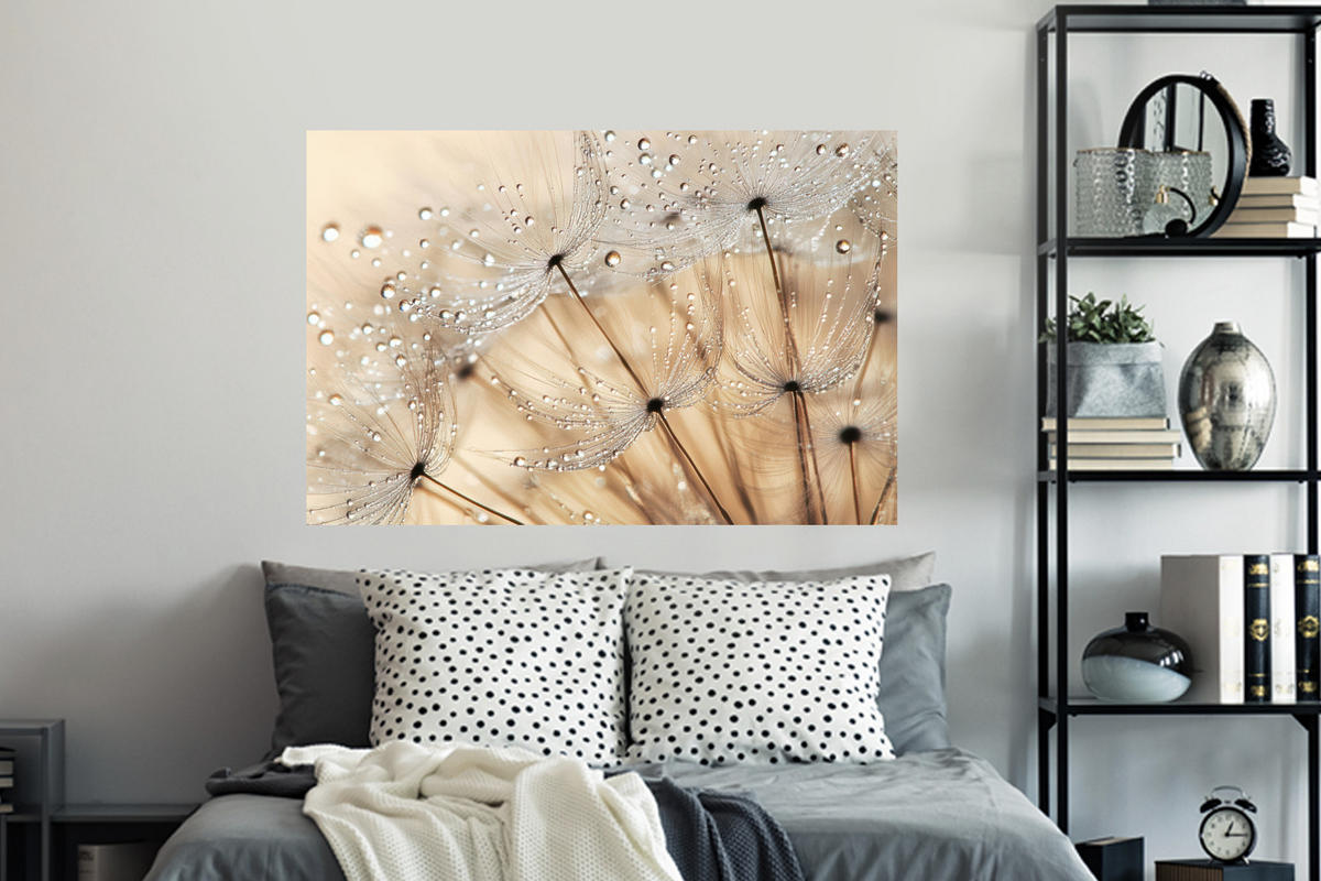 WANDTATTOO Löwenzahn - Abstrakt - Natur - Beige 120x80 cm - Braun, Kunststoff (120/80/0.1cm) - MuchoWow