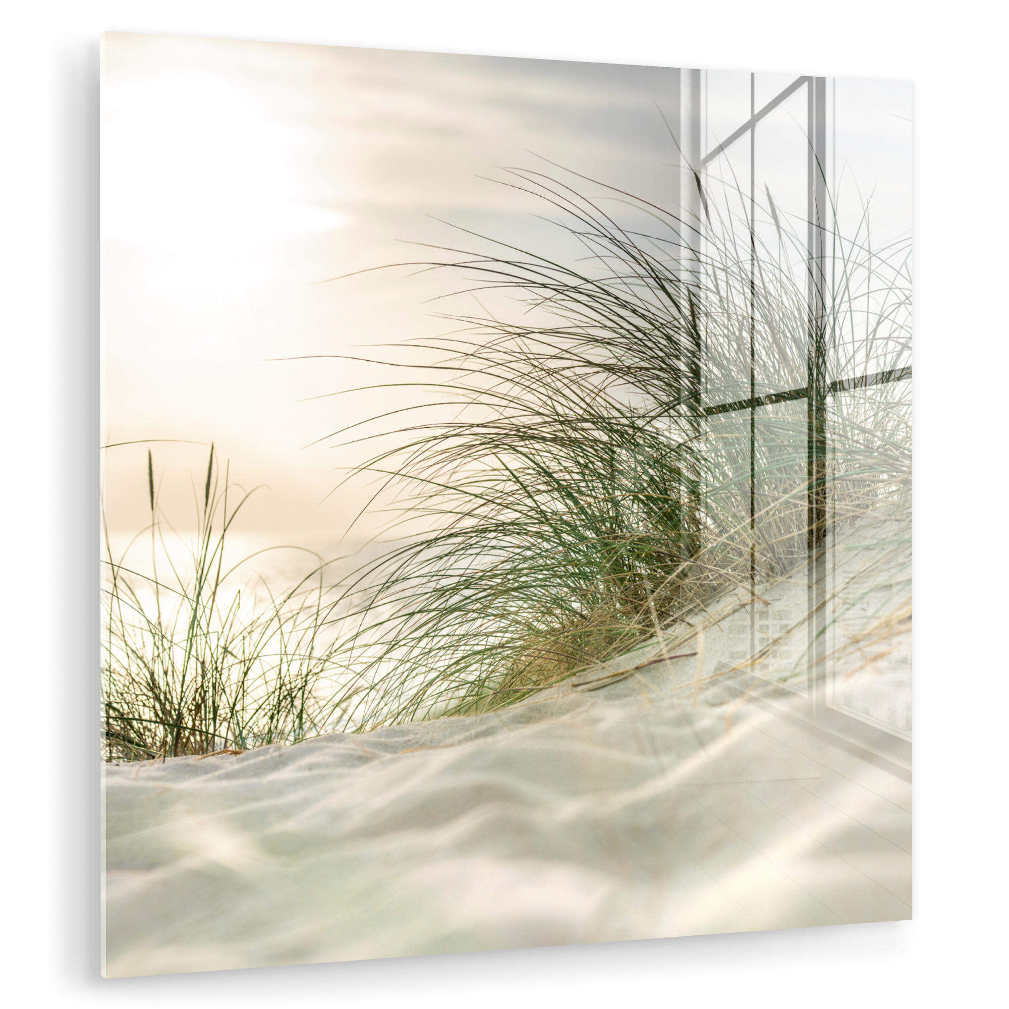 ACRYLGLASBILD Dünen mit Strandhafer in der Sonne des Nationalparks Schleswig-Holsteinisches Wattenmeer 50x50 cm - Creme, Glas (50/50cm) - MuchoWow