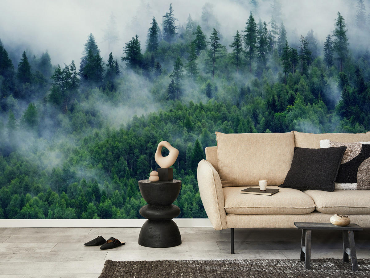 FOTOTAPETE Wald im Nebel Natur Landschaft 3D 100x70 - Grau/Grün, Papier (100/70cm) - Muralo