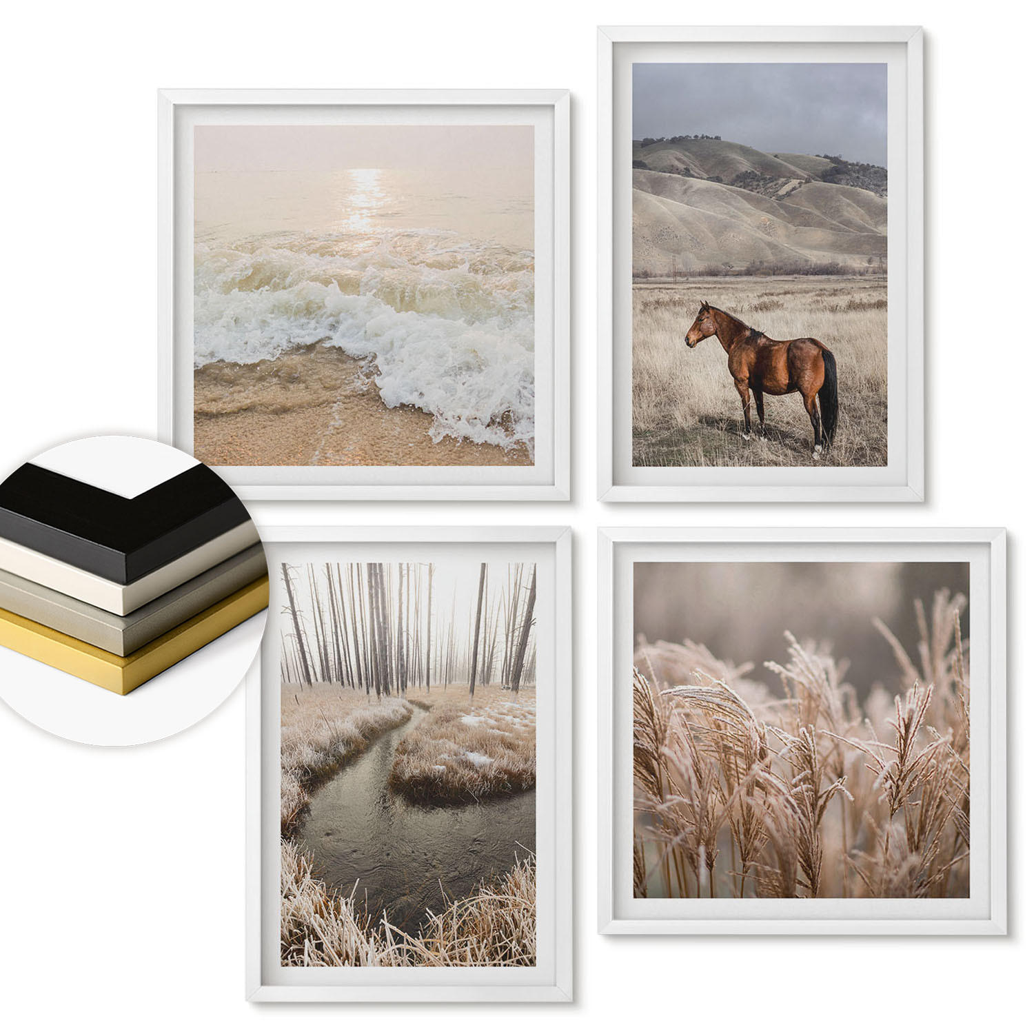 WANDBILDER 4er-Set - 50x50 cm & 40x60 cm Weißer Rahmen - Pferdelandschaft Seegraswald - Weiß, Kunststoff (50/50cm) - ArtPrintCave