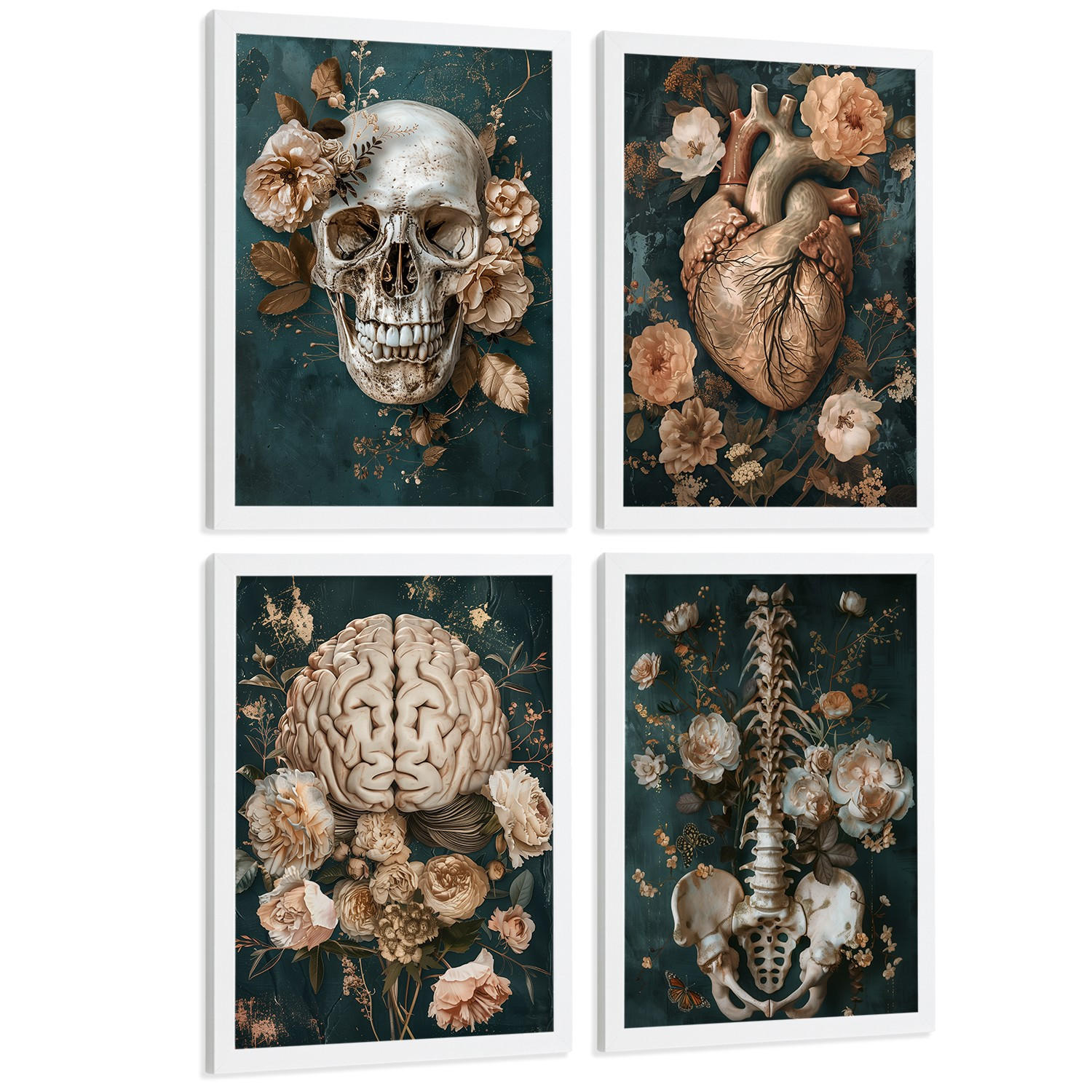 POSTER Set aus 4 Anatomie Drucke und Wandbilder mit Schädel Herz Gehirn Wirbelsäule Skelett Becken Klassisches Florales Design Größe Weißer Rahmen A4 - Weiß, Papier (21/29.7/3cm) - Nacnic