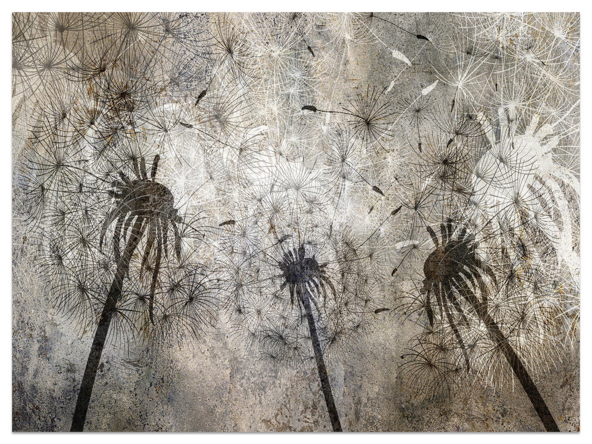 FOTOTAPETE Pusteblumen Beton Retro Stil 250x175 - Beige/Braun, Papier (250/175cm) - Muralo