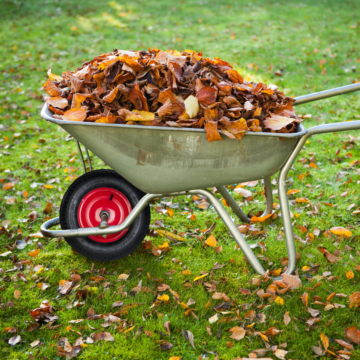 SCHUBKARRENRAD - Multicolor, Kunststoff/Metall (39/39/9cm) - Relaxdays