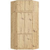 KLEIDERSCHRANK Eiche Artisan 235/100/50 - Eiche Artisan, Holzwerkstoff (100/235/50cm) - RAUMHIRSCH FURNITURE
