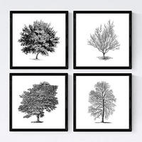 POSTER Set mit 4 Blättern der Caduda Bäume und immergrüne weiß 30x30 cm Rahmenlos - Klar, Papier (30/3cm) - Nacnic