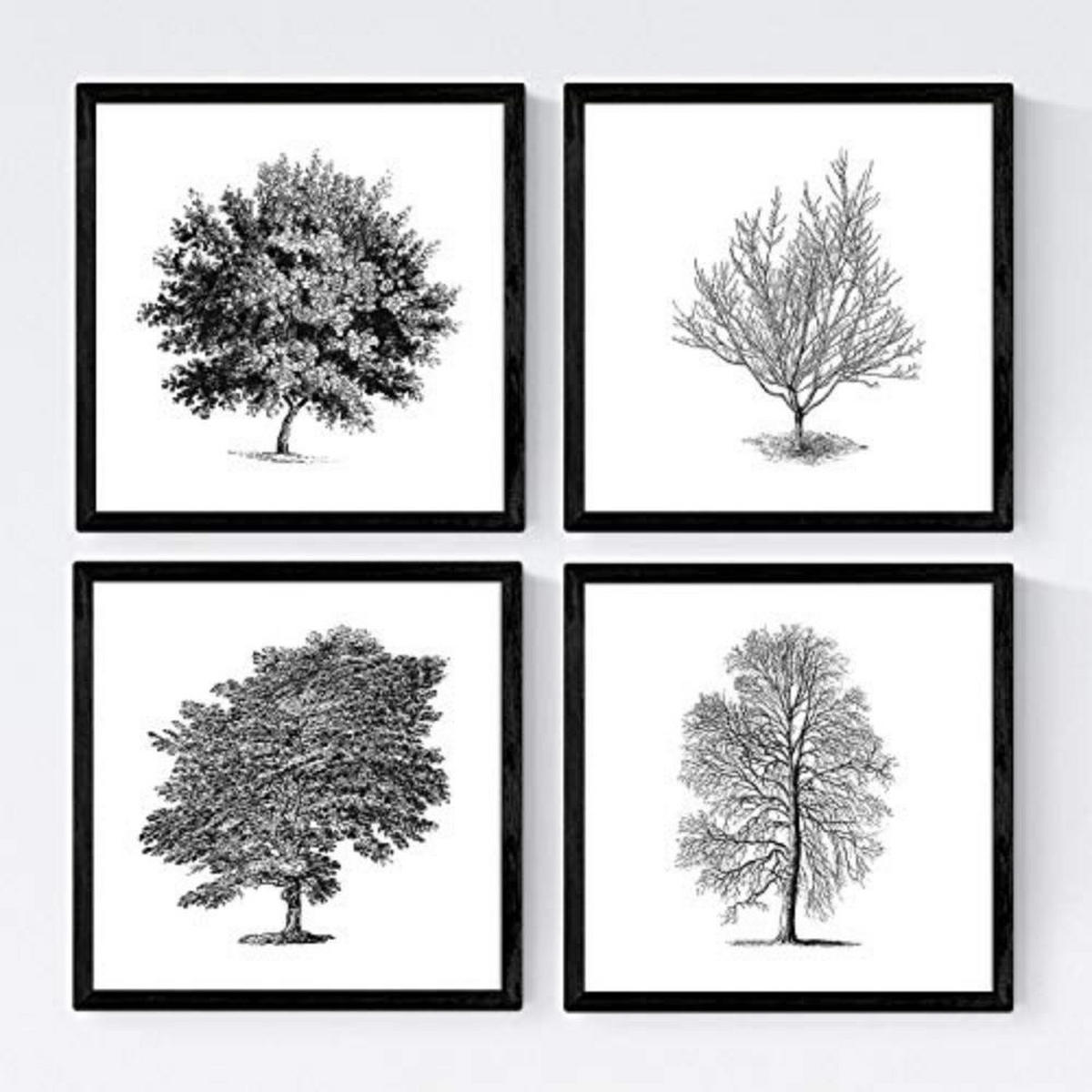 POSTER Set mit 4 Blättern der Caduda Bäume und immergrüne weiß 30x30 cm Rahmenlos - Klar, Papier (30/3cm) - Nacnic