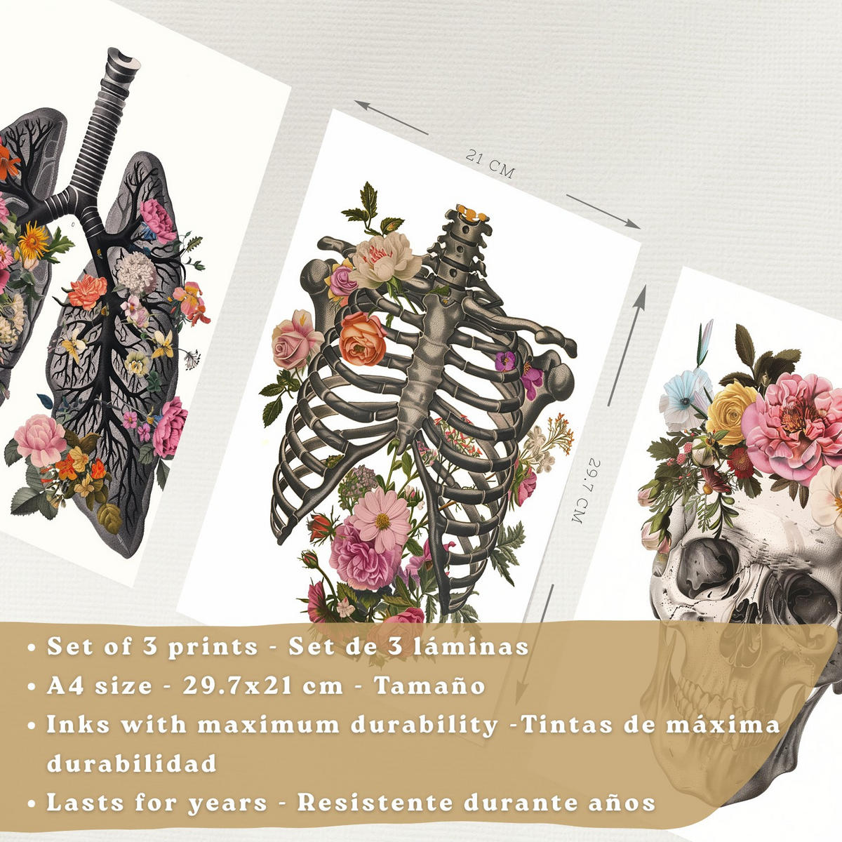 POSTER Set aus 3 Anatomie Mensch Drucke und mit Lungen Luftröhre Bronchien Rippen Wirbelsäule und Schädel Modernes Florales Größe Weißer Rahmen A4 - Weiß, Papier (21/29.7/3cm) - Nacnic