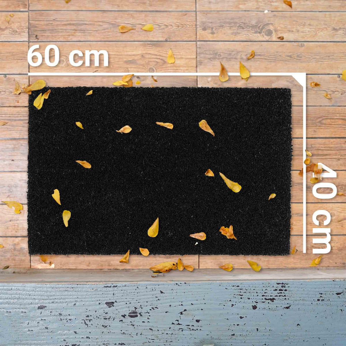 FUSSMATTE IN- UND OUTDOOR COCO COLOR T - Schwarz, Textil (40/60cm) - Astra