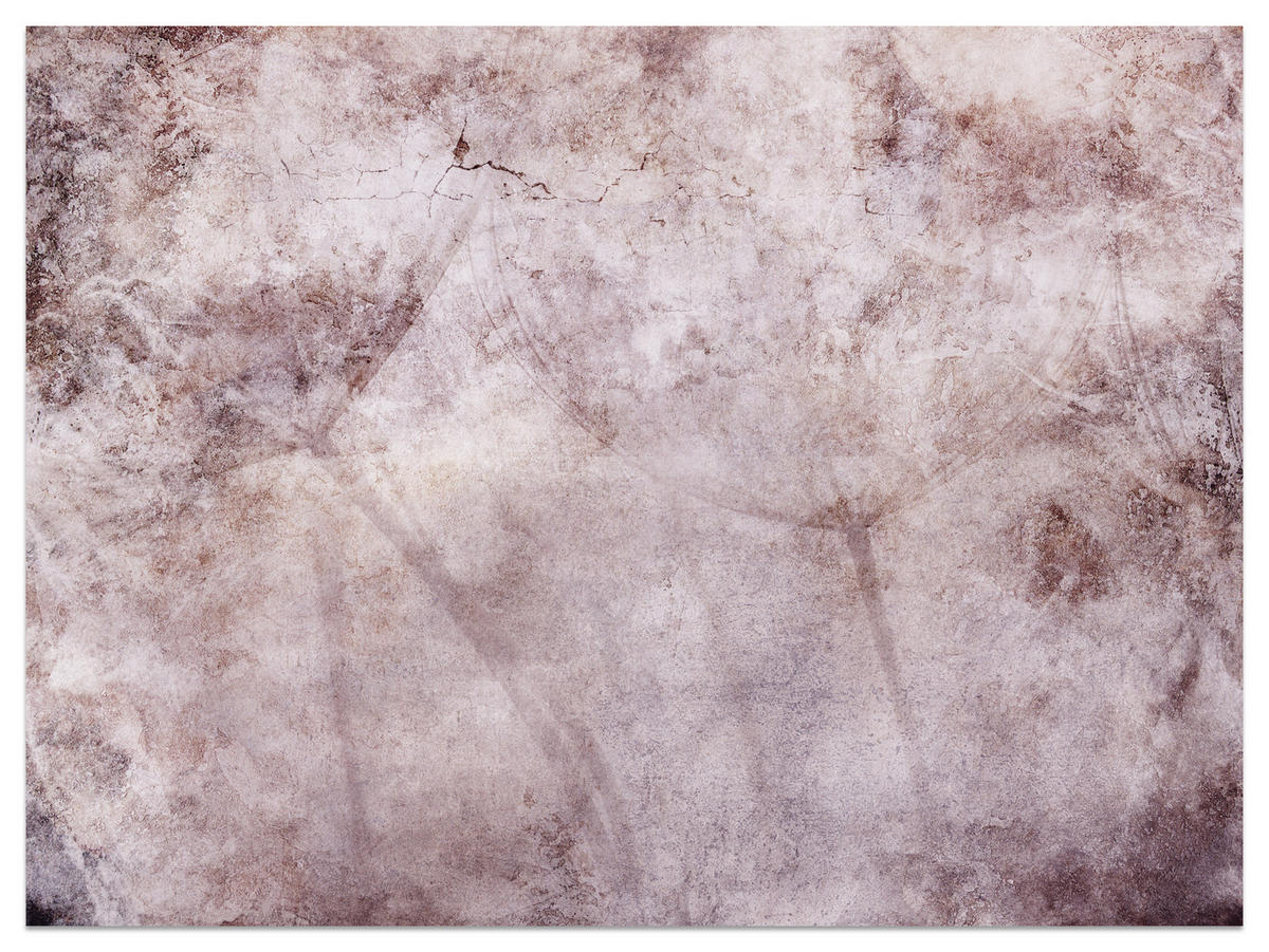 FOTOTAPETE Abstraktion Löwenzahn Blätter Retro Natur Beton 200x140 - Violett/Rosa, Papier (200/140cm) - Muralo