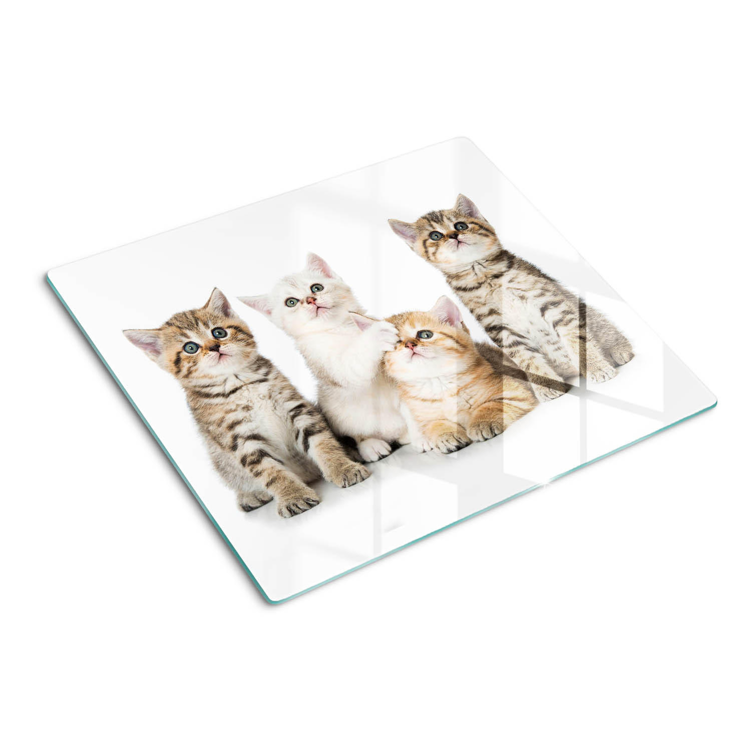 GLASPLATTE 60x52 cm Kleine Katzen - Braun, Glas (60/52cm) - TULUP