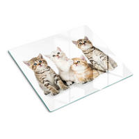 GLASPLATTE 60x52 cm Kleine Katzen - Braun, Glas (60/52cm) - TULUP