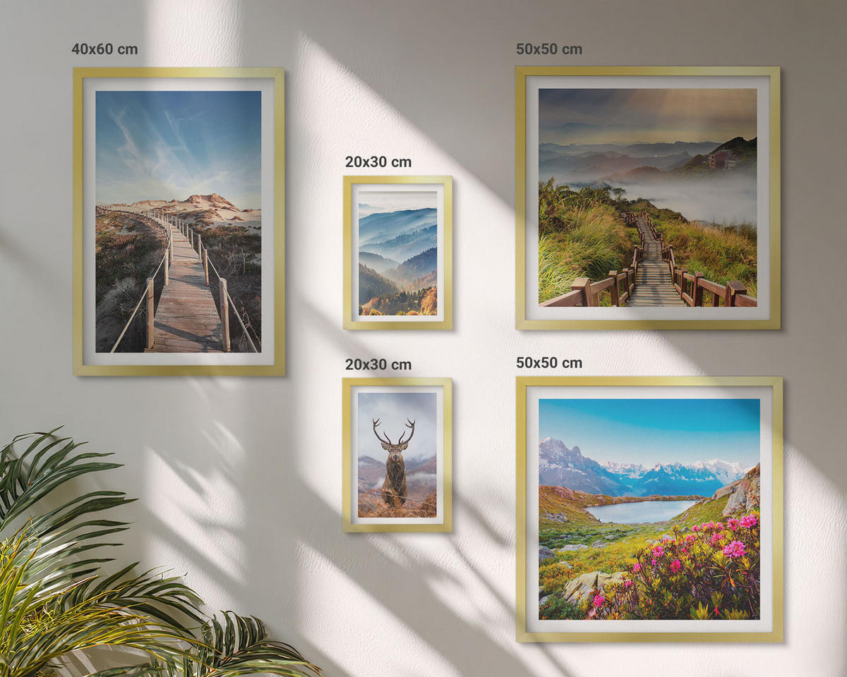 WANDBILDER 5er Set - 50x50 cm & 20x30 cm & 40x60 cm Goldrahmen - Berglandschaft, See, Hirsche - Goldfarben, Kunststoff (40/60cm) - ArtPrintCave