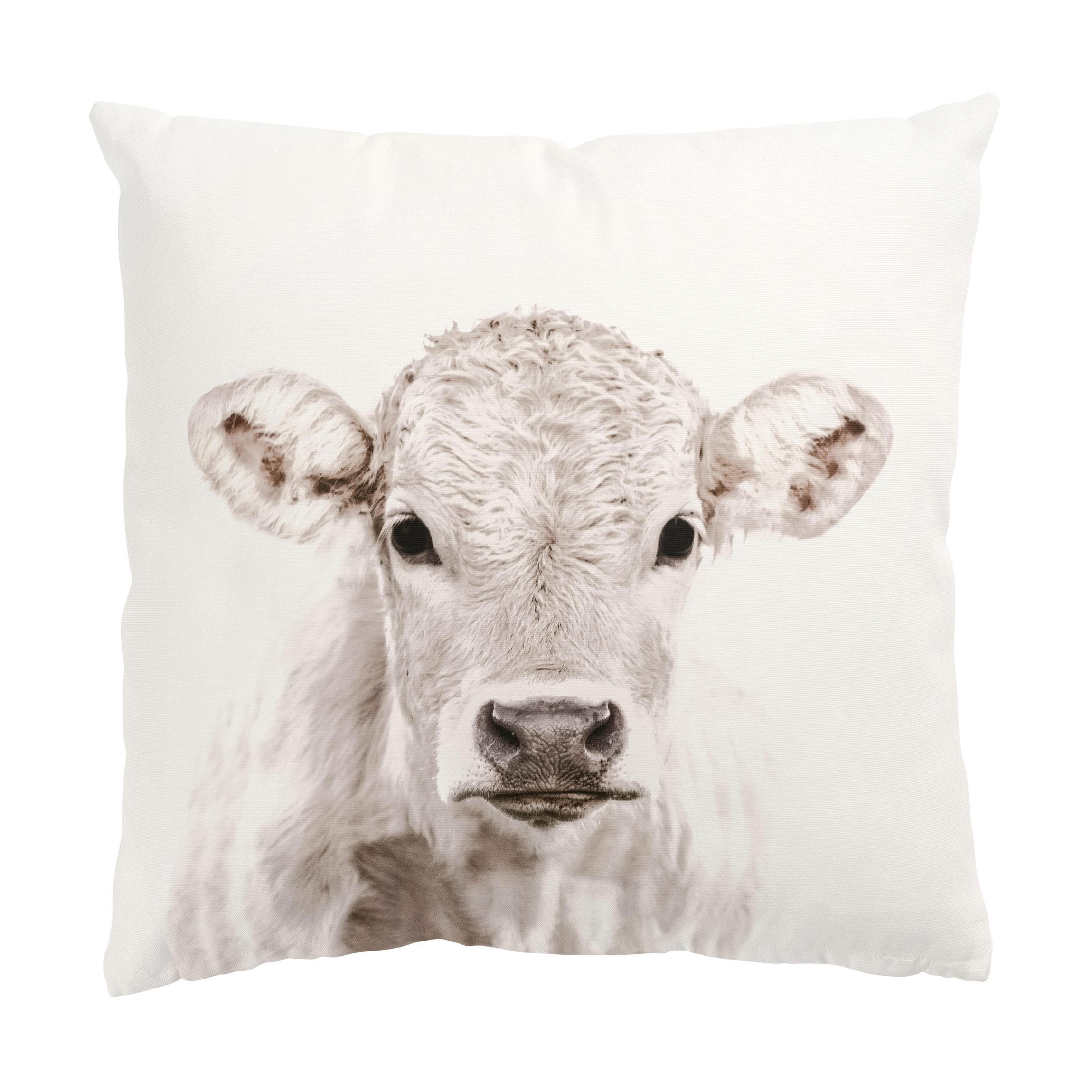 KISSENBEZUG Weißes Kalb 40/40 cm - Grau, Textil (40/40cm) - Bilderwelten