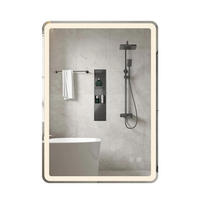 BADSPIEGEL mit LED Beleuchtung silber - Silberfarben, Glas (50/70/3cm) - COSTWAY