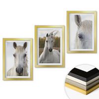 WANDBILDER 3er Set - 20x30 cm Goldrahmen - Weiße Pferde in der Natur - Goldfarben, Kunststoff (20/30cm) - ArtPrintCave