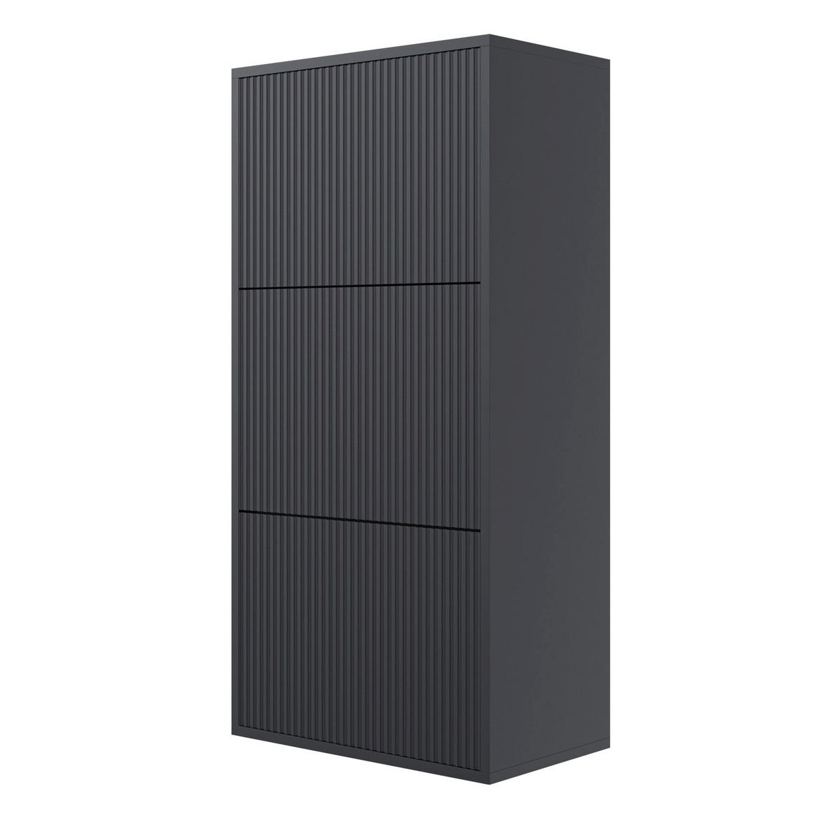 WAND-SCHUHSCHRANK Veldio mit 3 Klappen Schwarz 50 cm - Schwarz, Holzwerkstoff (50/103/30cm) - Selsey