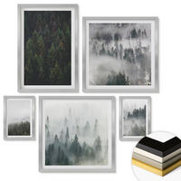 WANDBILDER 5er Set - 50x50 cm & 20x30 cm & 40x60 cm Silberner Rahmen - Grüne Wälder, neblige Landschaft - Silberfarben, Kunststoff (40/60cm) - ArtPrintCave