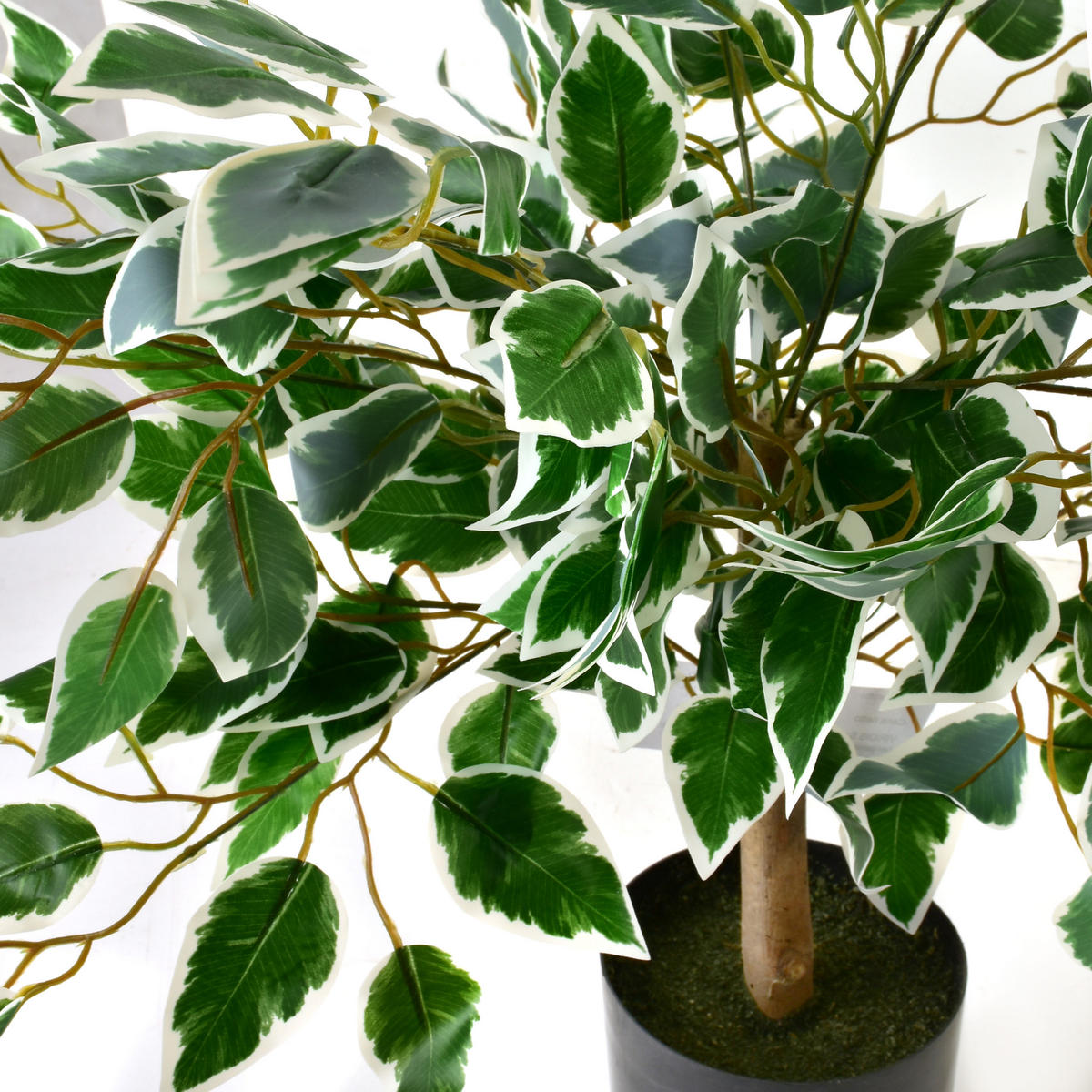 KUNSTBLUME Viridis Grün 13x12x65 cm Kunststoff - Grün, Kunststoff (65cm) - Mondex