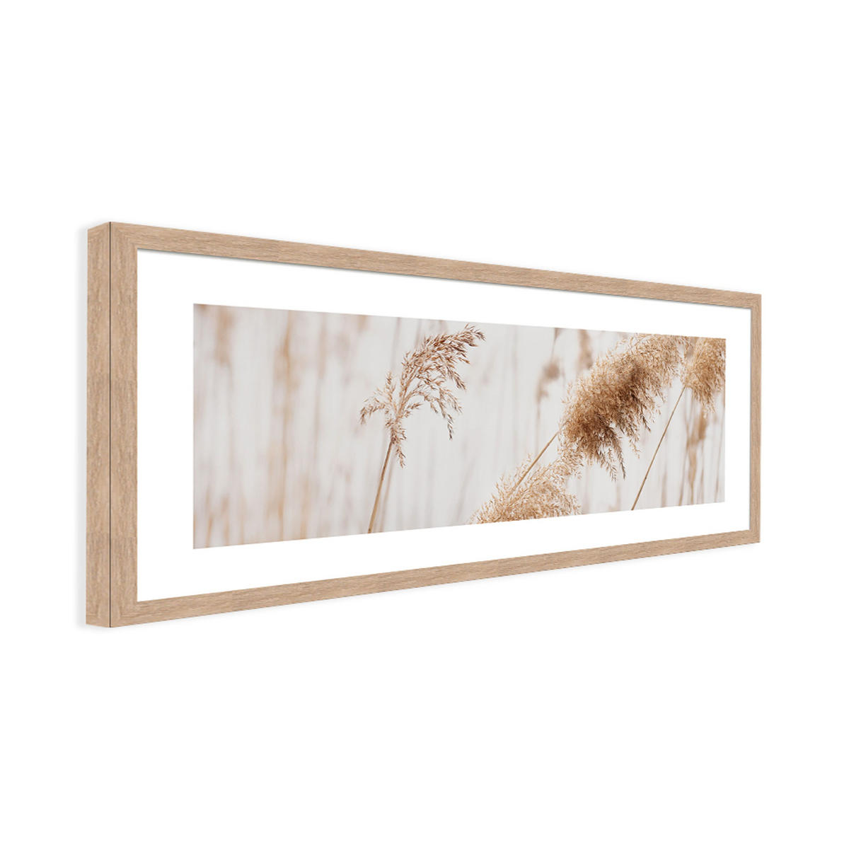 POSTER mit Rahmen 70x30 cm Pampasgras Beige - Beige, Holz (71/30cm) - artissimo