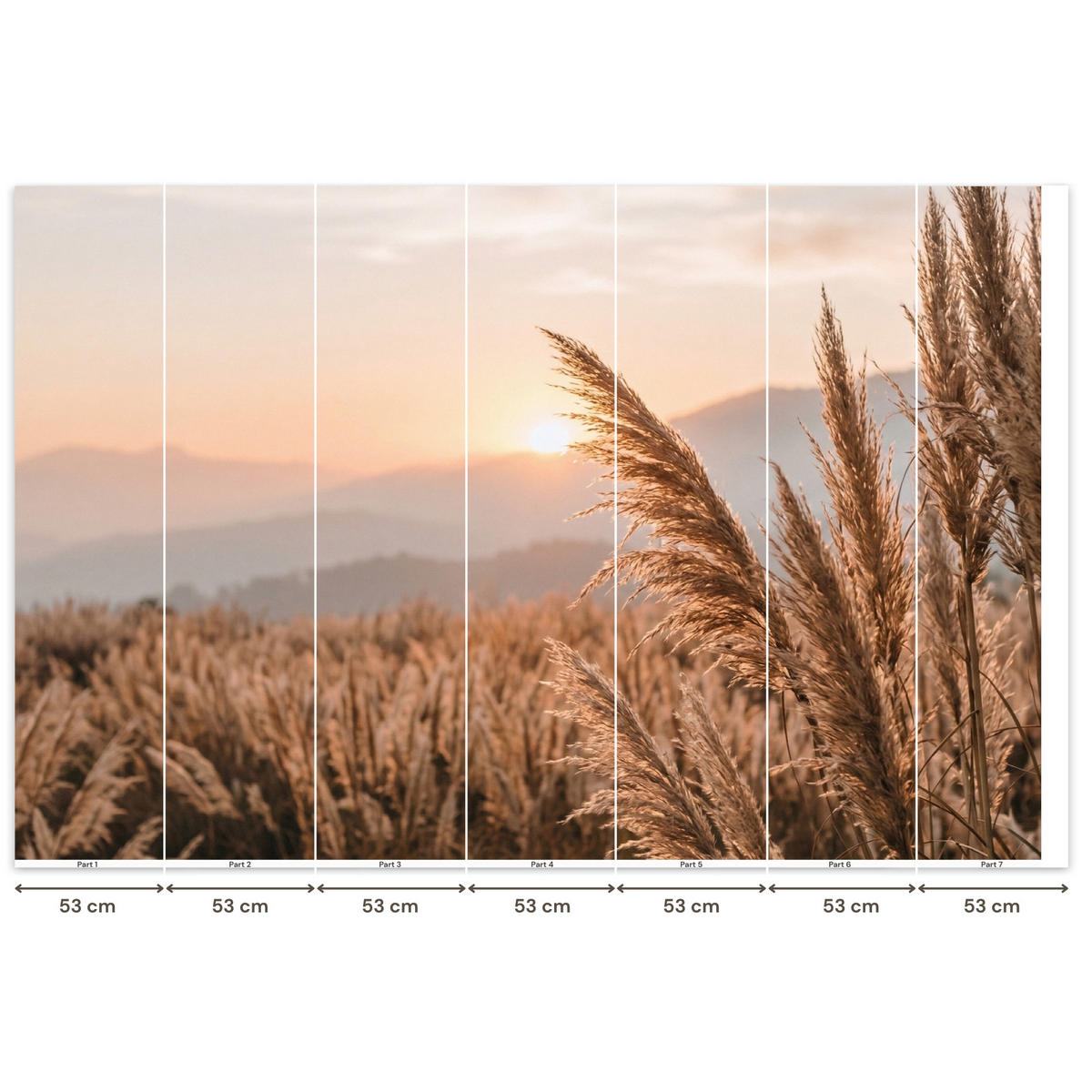 TAPETE - Gras - Feld - Sonne - Natur - 350x240 cm - Sandfarben, Papier (350/240cm) - OnlyWow
