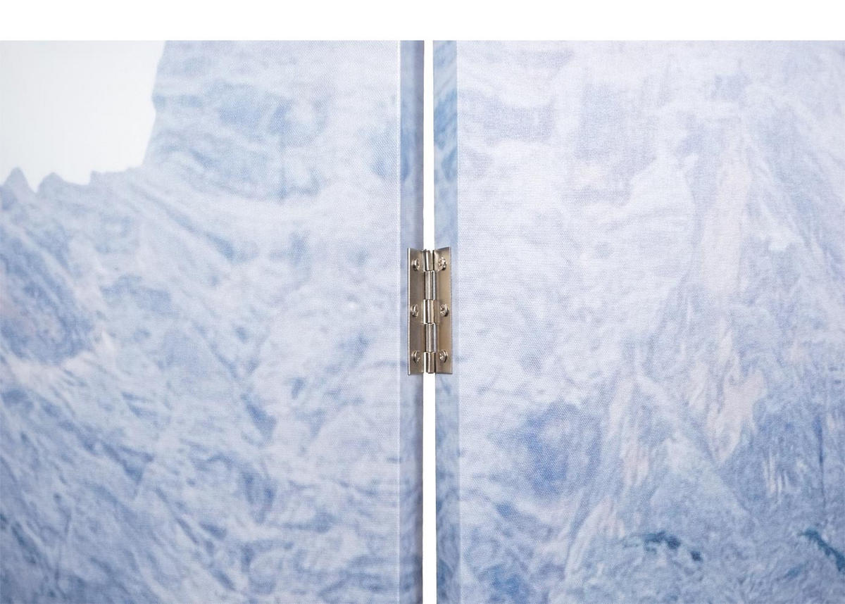 FOTO-PARAVENT Multicolor - Multicolor, Holz (244/180/2cm) - MCW