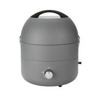 GASGRILL Grill-To-Go - Grau, Metall (35/43/35cm) - TAINO