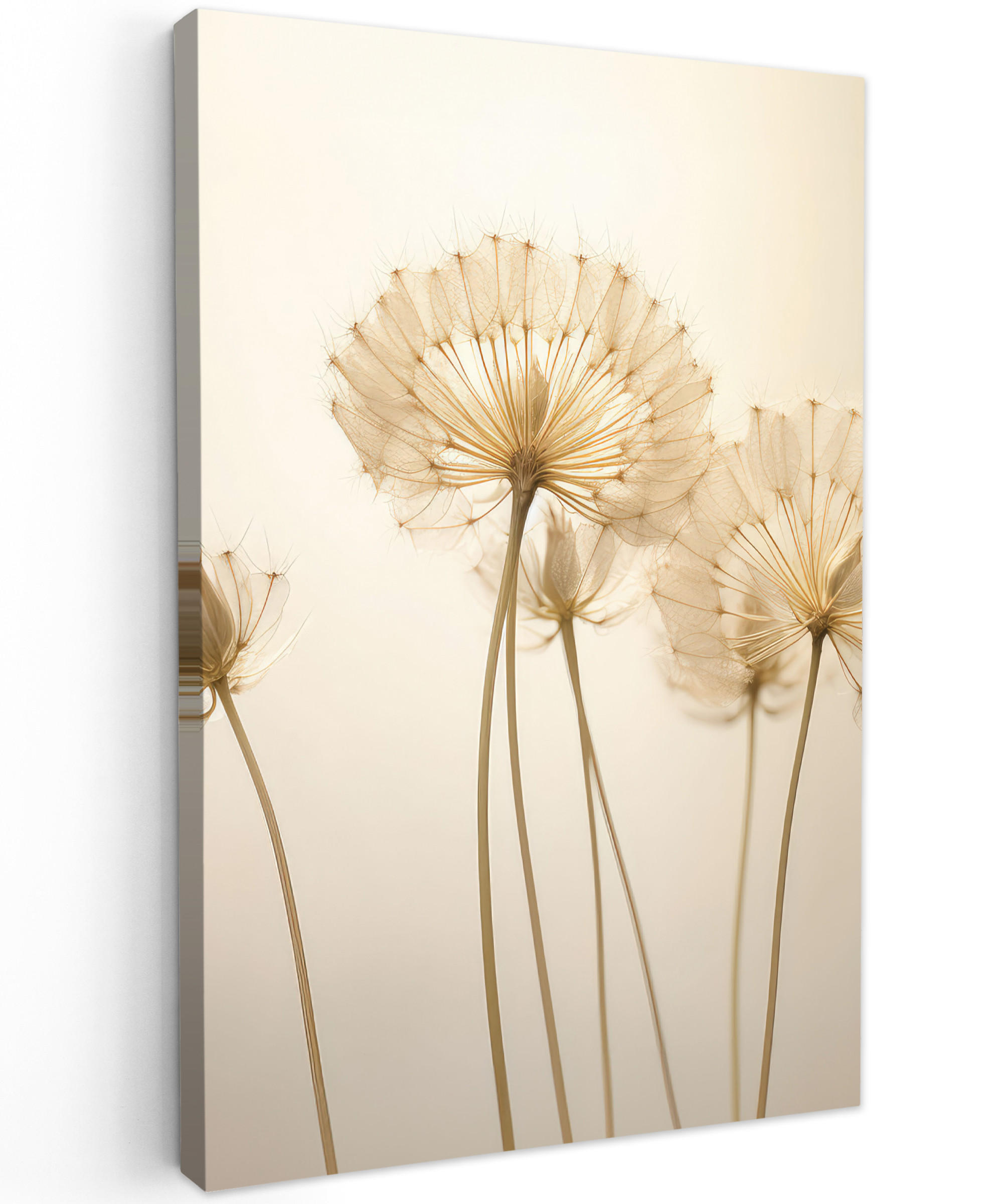 LEINWANDBILD Sonnenlicht - Löwenzahn - Botanisch - Blumen 20x30 cm - Creme, Textil (20/30cm) - MuchoWow