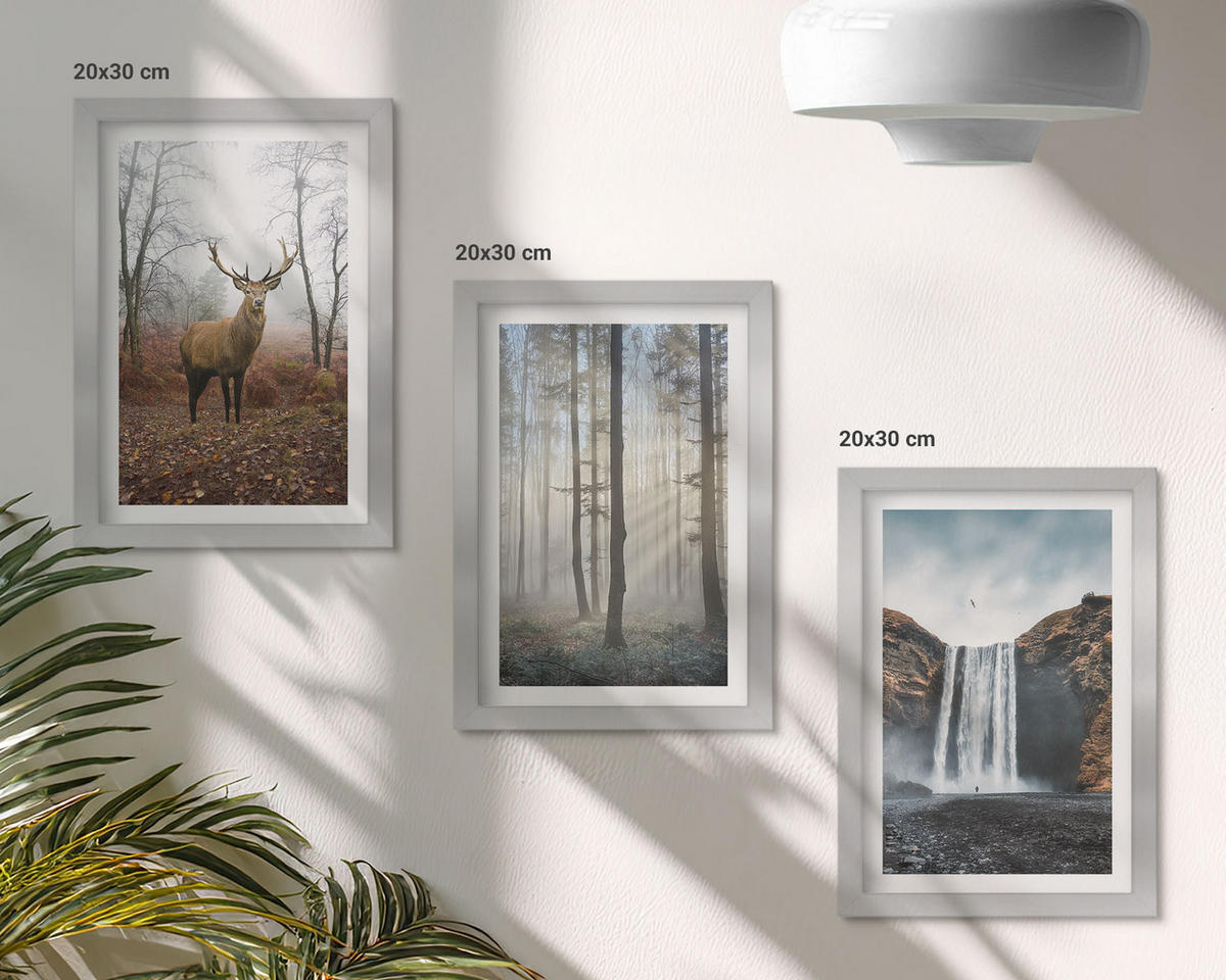 BILDER SET 3er Set - 20x30 cm Silberner Rahmen - Waldlandschaften, wilde Natur - Silberfarben, Kunststoff (20/30cm) - TULUP