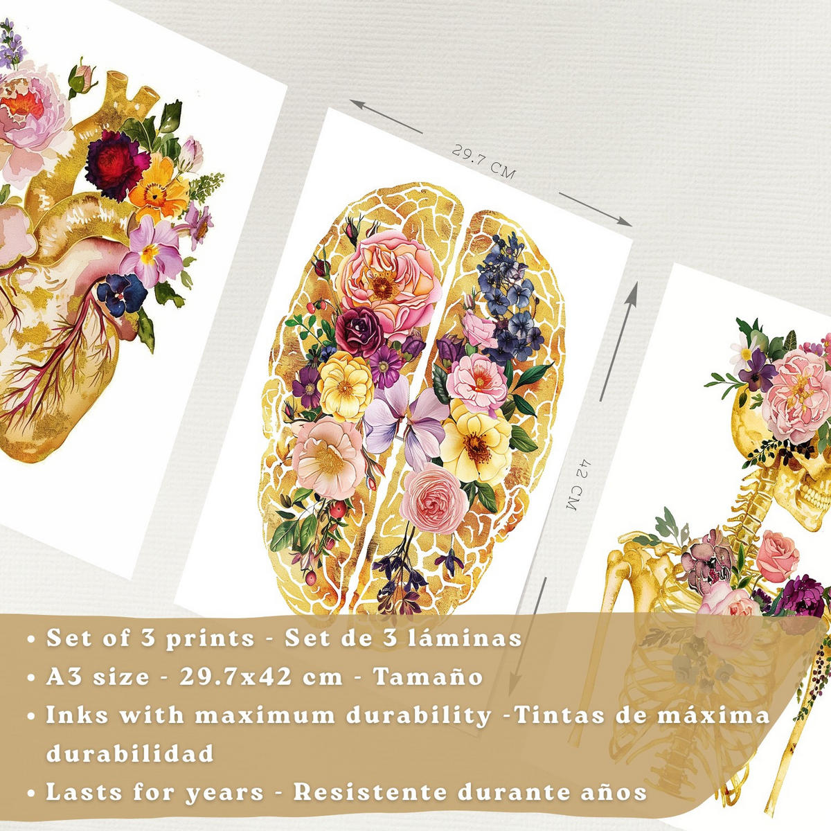 POSTER Set aus 3 Anatomie Mensch Drucke und Wandbilder mit Herz Gehirn und Skelett Goldenes Florales Design Wanddekoration Größe Rahmenlos A3 - Klar, Papier (29.7/42/3cm) - Nacnic
