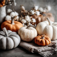 GLASBILD 30x30 cm Kürbisse - Beige, Glas (30/30cm) - artissimo