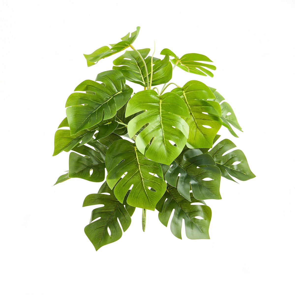 KUNSTPFLANZE Künstlicher Monstera – Alenia 50 cm - Grün, Kunststoff (50cm) - aplanta
