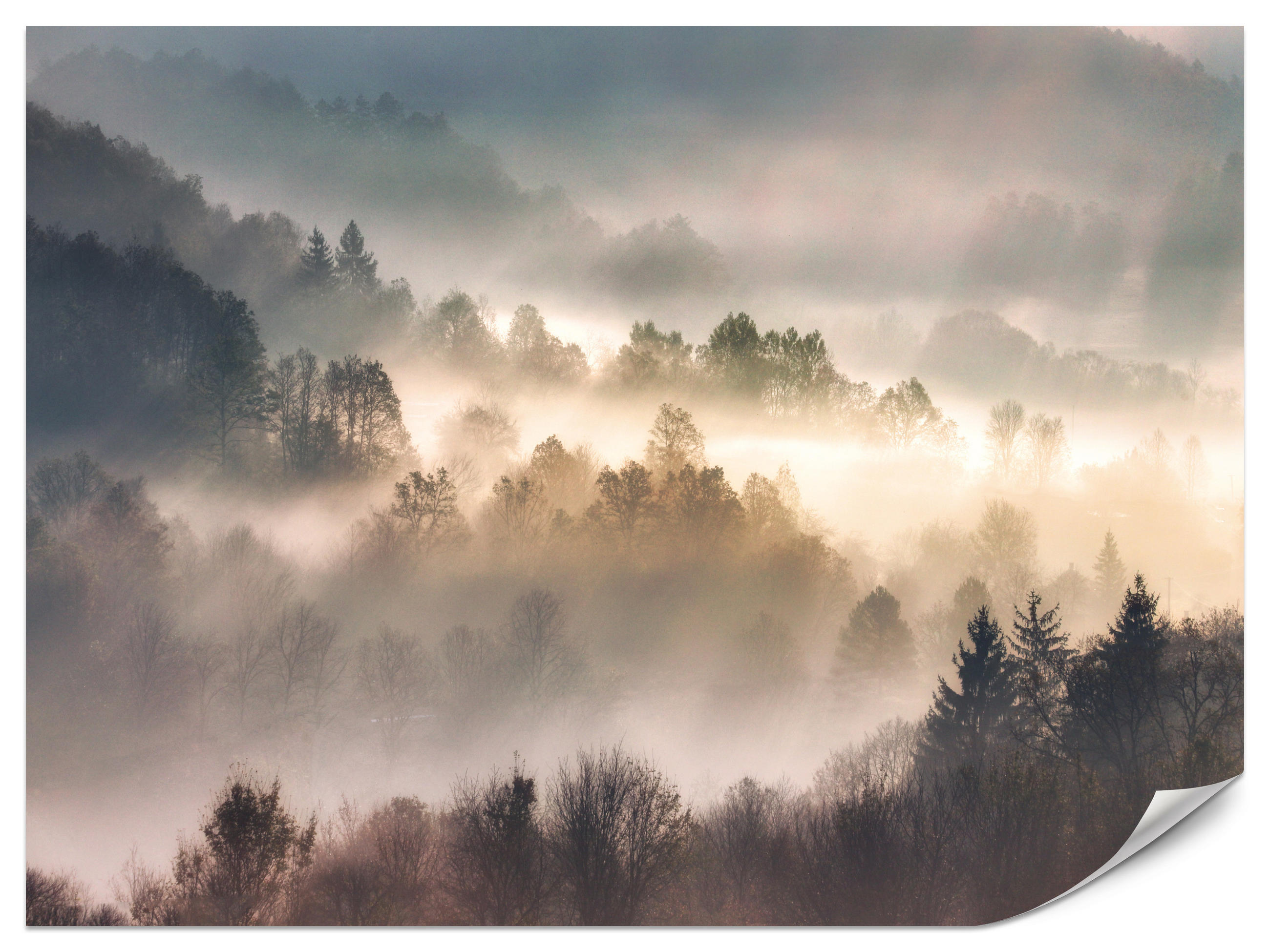 FOTOTAPETE für Wohnzimmer Natur Nebeliger Wald Sonnenaufgang Gebirge 500x350 - Gelb/Creme, Papier (500/350cm) - Muralo