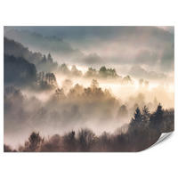 FOTOTAPETE für Wohnzimmer Natur Nebeliger Wald Sonnenaufgang Gebirge 500x350 - Gelb/Creme, Papier (500/350cm) - Muralo