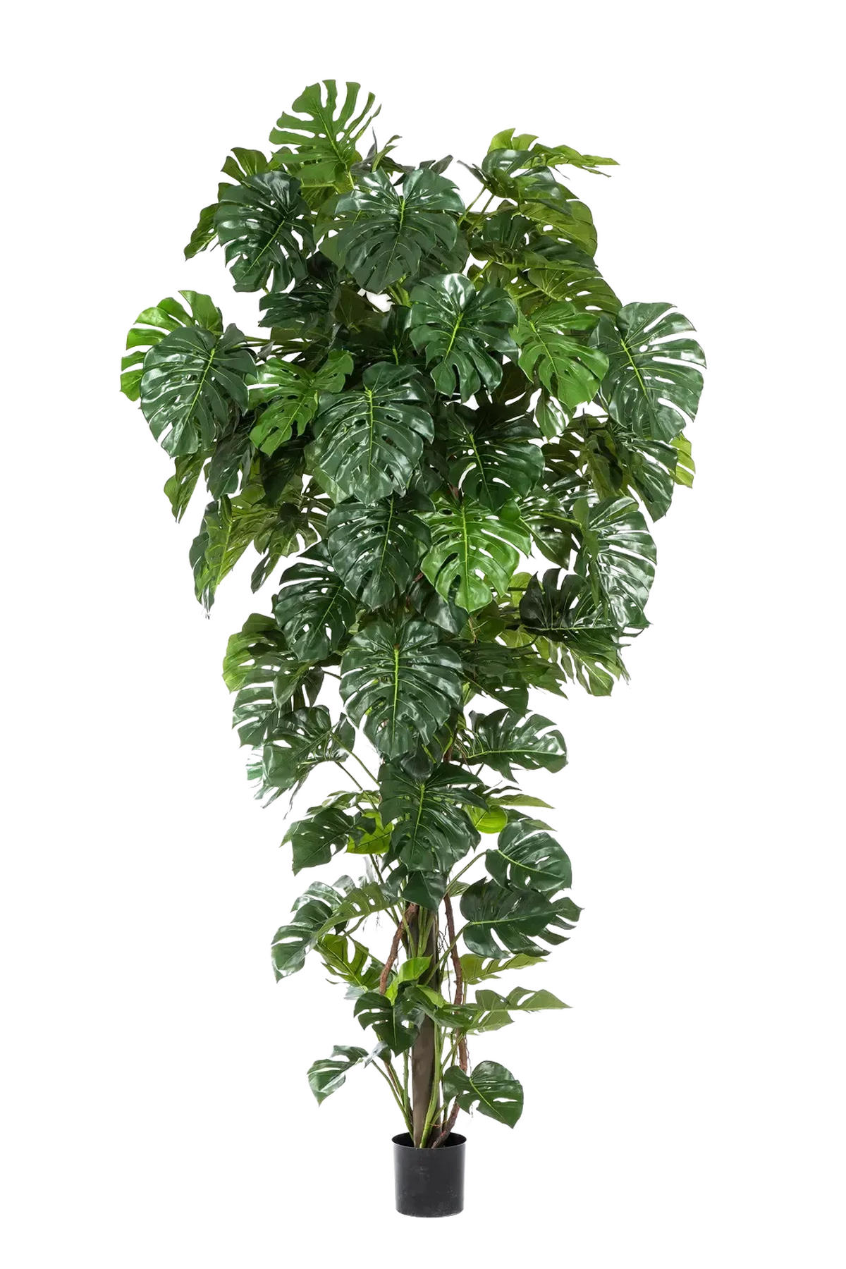 KUNSTBAUM Künstliche Monstera - Chris 280 cm - Grün, Kunststoff (280cm) - aplanta
