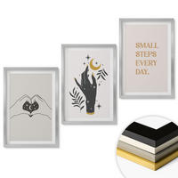 WANDBILDER 3er Set - 40x60 cm Silberner Rahmen - Minimalistische Boho-Illustrationen - Silberfarben, Kunststoff (40/60cm) - ArtPrintCave