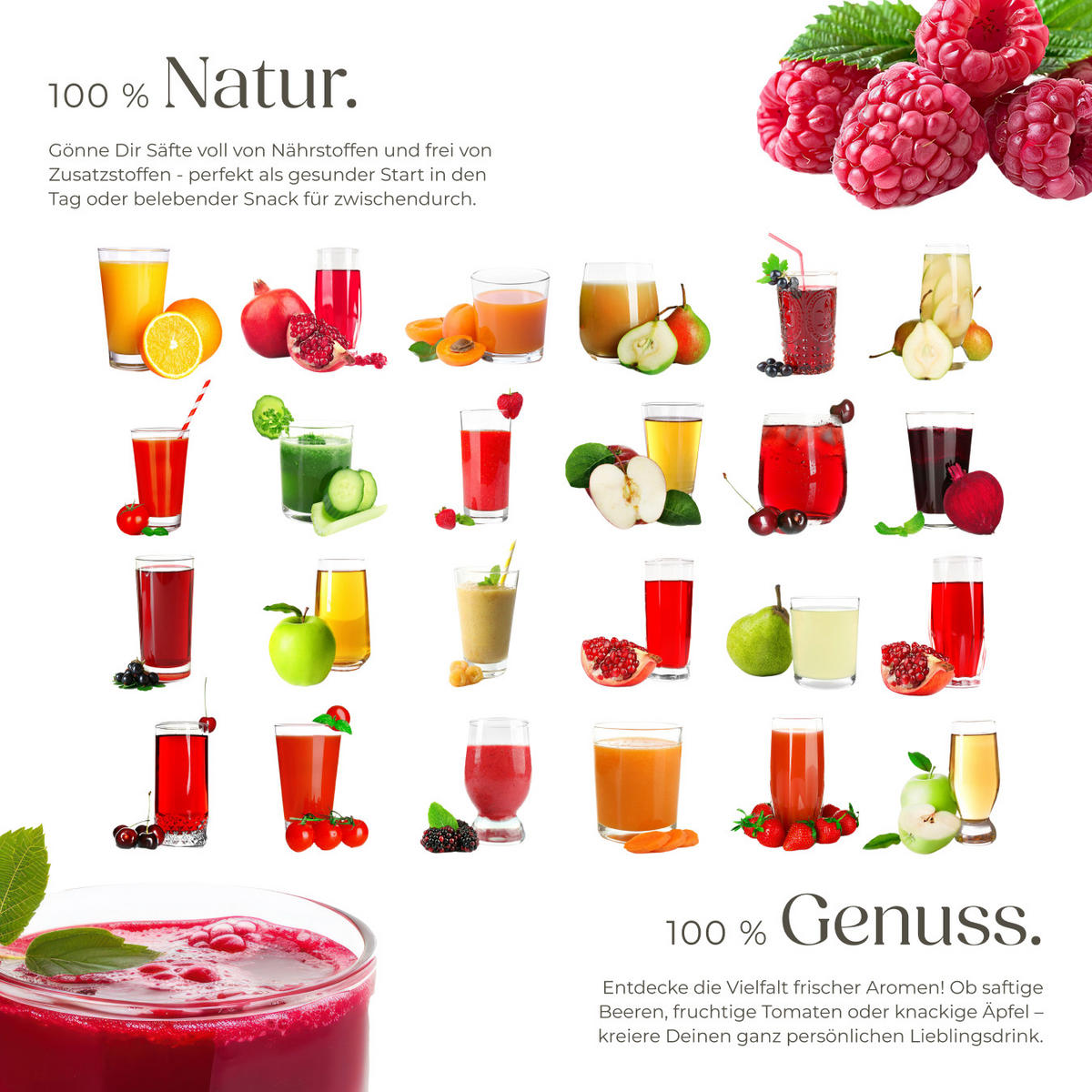 ENTSAFTER Frufi,500ml Fassungsvermögen, silber, 18 x 26 x 28,5 - Silberfarben, Metall (18/28.5/26cm) - tectake