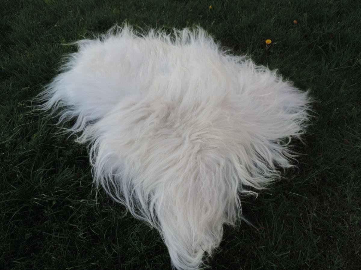 SCHAFFELL Ganzes Island Schaffell Weiß Natur, ca. 120 cm - Weiß, Fell (70/120cm) - Provellus