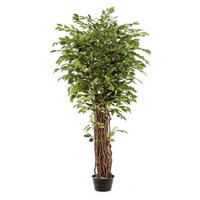 KÜNSTLICHER Ficus - Lissi 205 cm - Grün, Kunststoff (205cm) - Emerald